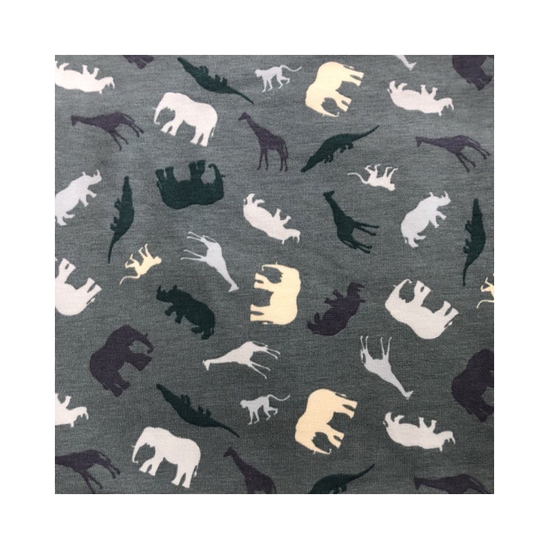 animaux savane